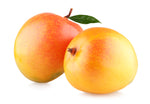 Mangoes - Calypso (3 QTY)