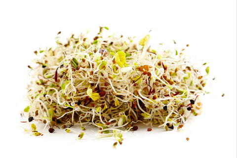 Sprouts - Salad Mix