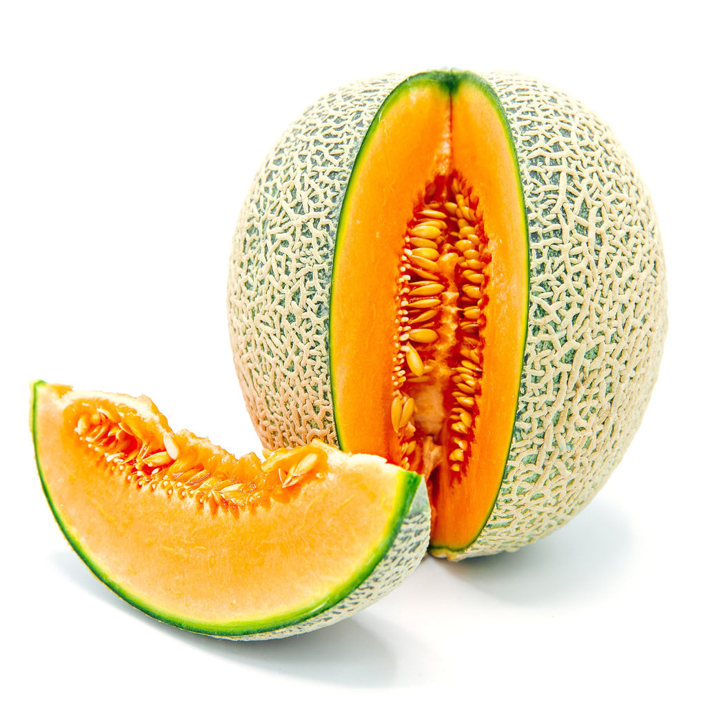 European Rockmelon Rockmelon Premium X-Large – Harvest Markets