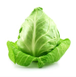 Cabbage - Sugarloaf