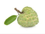 Custard  Apple